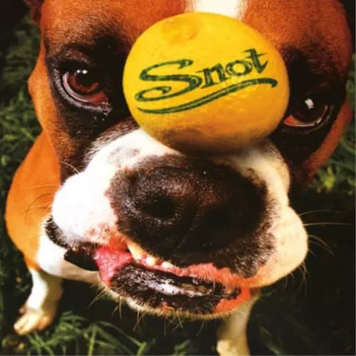 Snot Get Some (Vinyl) 12″ Album New