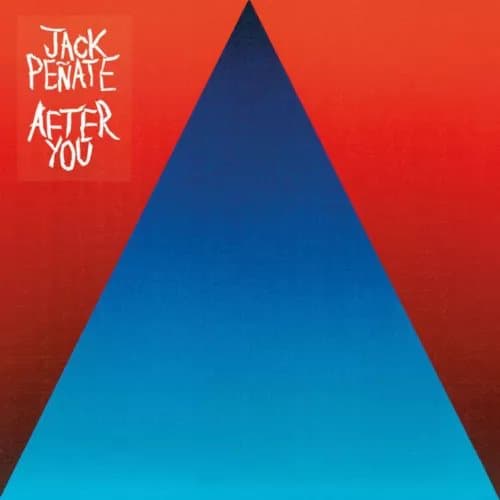 Jack Penate After You (Vinyl) 12″ Album New