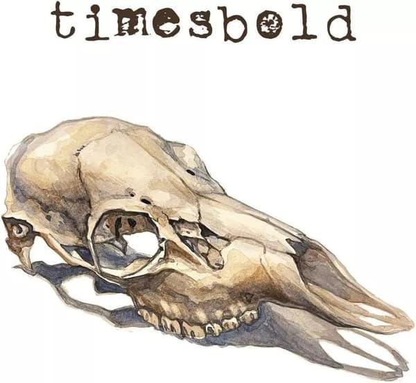 Timesbold Not Still Here (Vinyl) 12″ Album New