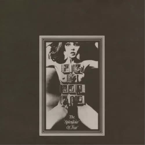 Felt The Splendour of Fear (Vinyl) Deluxe 12″ Album (Gatefold Cover) New