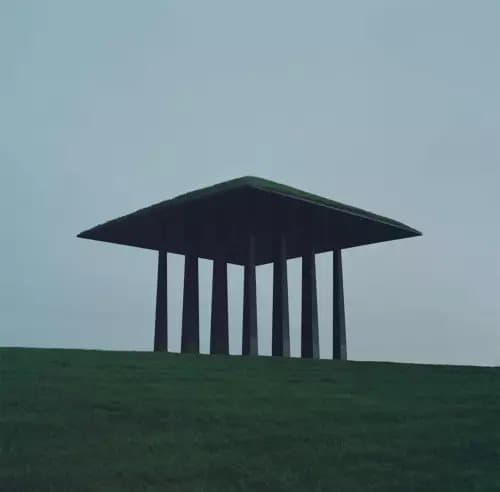 Homesick, the Youth Hunt (Vinyl) New