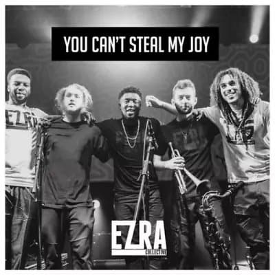 Ezra Collective You Can’t Steal My Joy (Vinyl) 12″ Album New