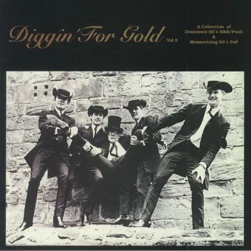 Various Artists Diggin’ for Gold: A Collection of Demented 60’s R&b/punk (Vinyl) New