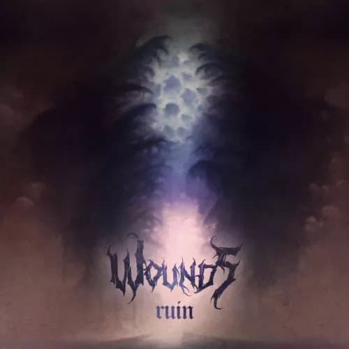 Wounds Ruin (Vinyl) 12″ Album (Clear vinyl) New
