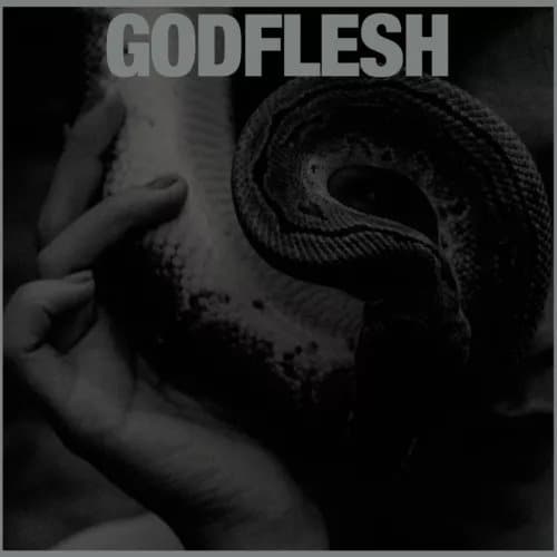 Godflesh Purge (Vinyl) 12″ Album New