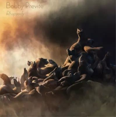 Bobby Previte Rhapsody (Vinyl) 12″ Album New