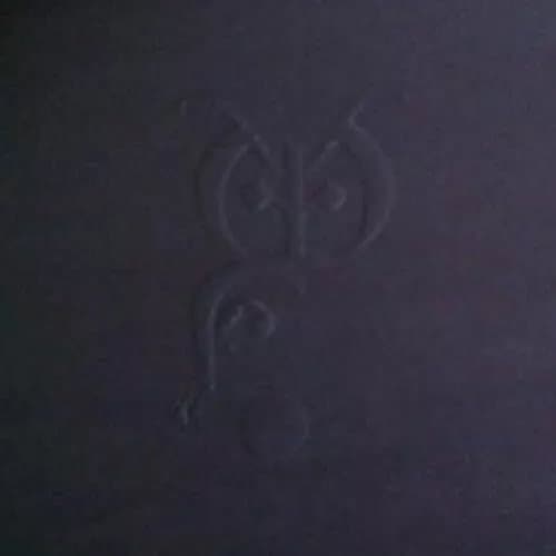 Owls Night Stays (Vinyl) New