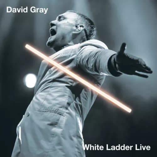 David Gray White Ladder Live (Vinyl) 12″ Album New