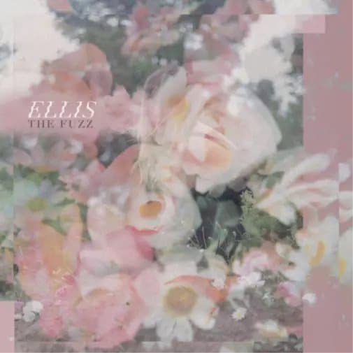 Ellis The Fuzz (Vinyl) 12″ EP New