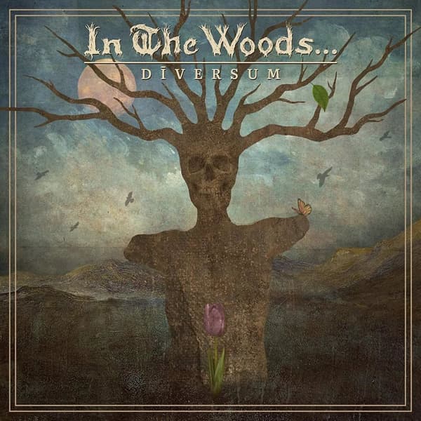 In the Woods… Diversum (Vinyl) 12″ Album (Limited Edition) New