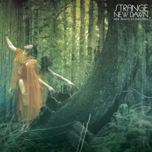 Strange New Dawn New Nights of Euphoria (Vinyl) 12″ Album New
