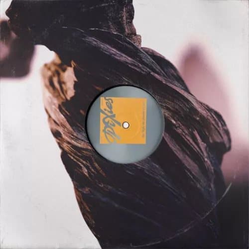 Pixies The Night the Zombies Came (Vinyl) 12″ Album New