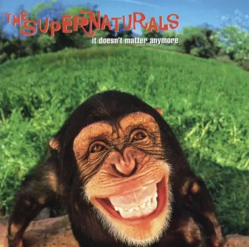 The Supernaturals It doesn’t matter anymore (Vinyl) 12″ Album Coloured Vinyl New