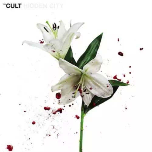 The Cult Hidden City (Vinyl) 12″ Album New