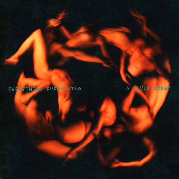 Everything Everything A Fever Dream (Vinyl) 12″ Album New
