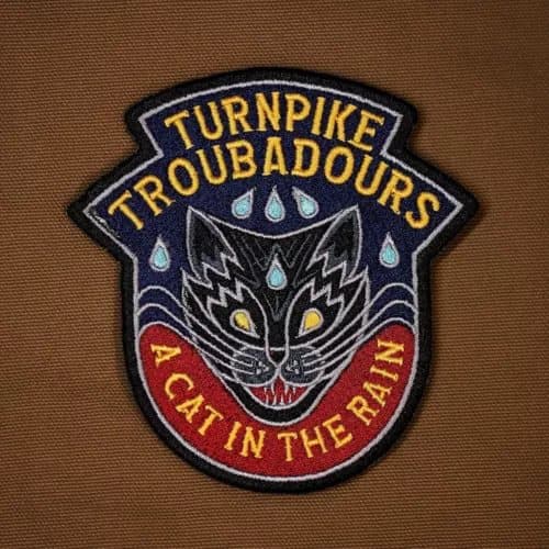 Turnpike Troubadours A Cat in the Rain (Vinyl) New