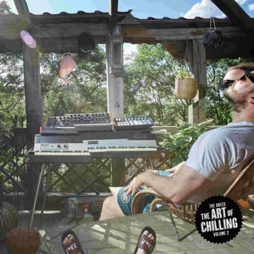The Breed The Art Of Chilling V.2 (Vinyl) New