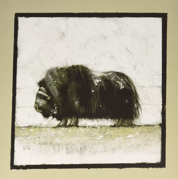 Gianni Maroccolo Alone: Volume 1 (Vinyl) New
