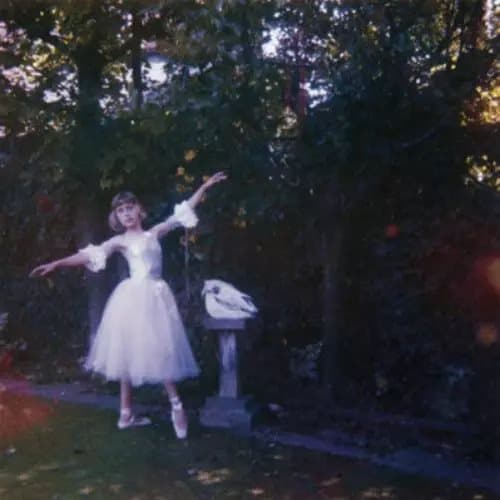 Wolf Alice Visions of a Life (Vinyl) 12″ Album New