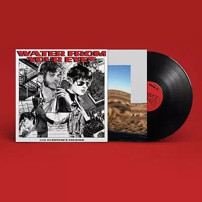 Water from Your Eyes Everyone’s Crushed (Vinyl) 12″ Album New