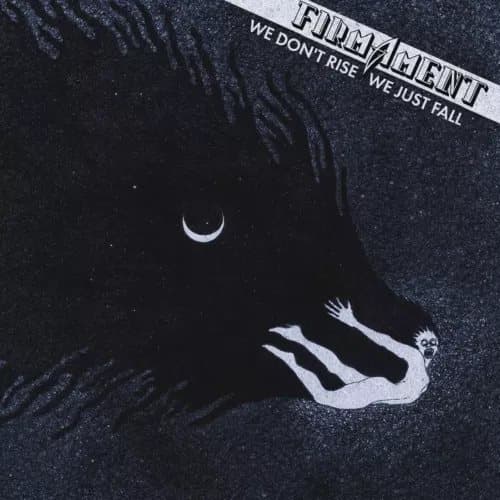 Firmament We Don’t Rise, We Just Fall (Vinyl) 12″ Album New