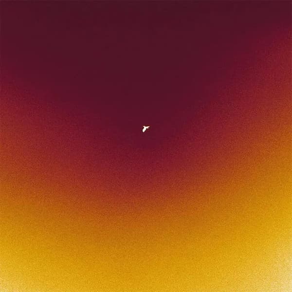 Galg Teloorgang (Vinyl) 12″ Album New