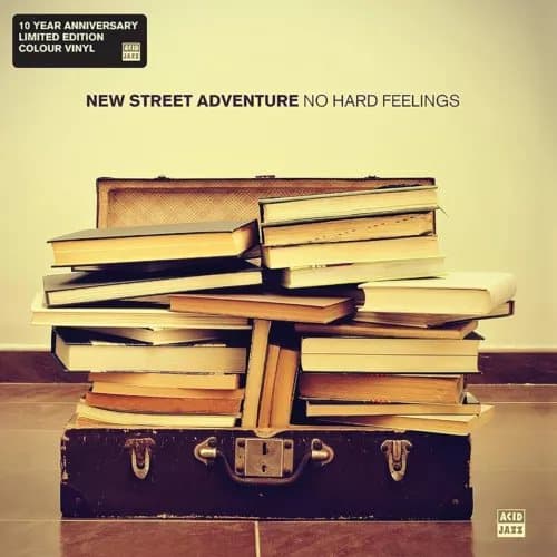 New Street Adventure No Hard Feelings (Vinyl) New