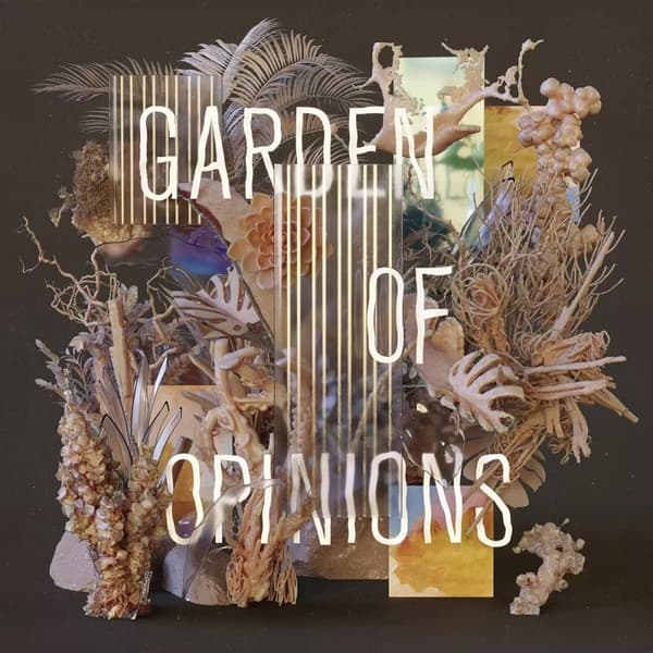Footprint Project Garden Of Opinions (Vinyl) New