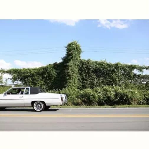 Cory Branan When I Go I Ghost (Vinyl) 12″ Album New