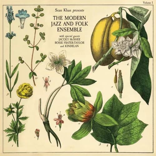 Sean Khan and The Modern Jazz & F Sean Khan Presents the Modern Folk & J (Vinyl) New