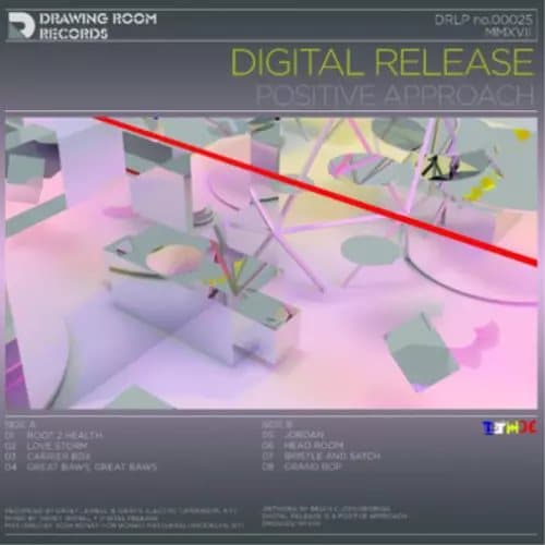 Digital Release Positive Approach (Vinyl) 12″ Album New