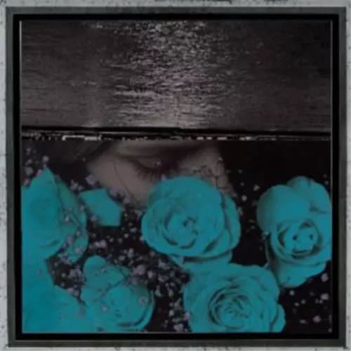 Jessica Bailiff At the Down-turned Jagged Rim of the Sky (Vinyl) 12″ Album New