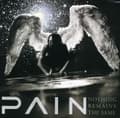 Miniatyrbild 1 av 2: Pain - Nothing Remains The Same (Rema (LP)