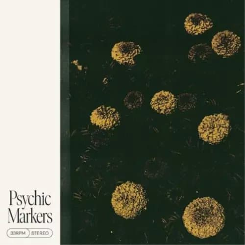 Psychic Markers Psychic Markers (Vinyl) 12″ Album New
