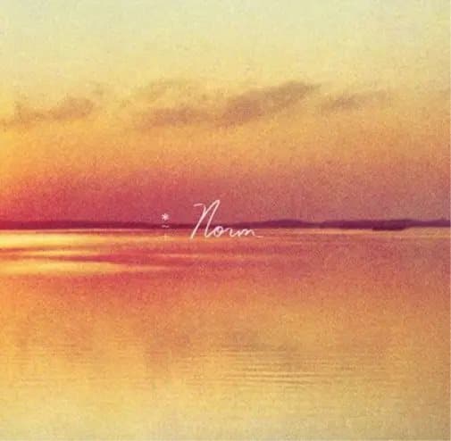 Andy Shauf Norm (Vinyl) 12″ Album New