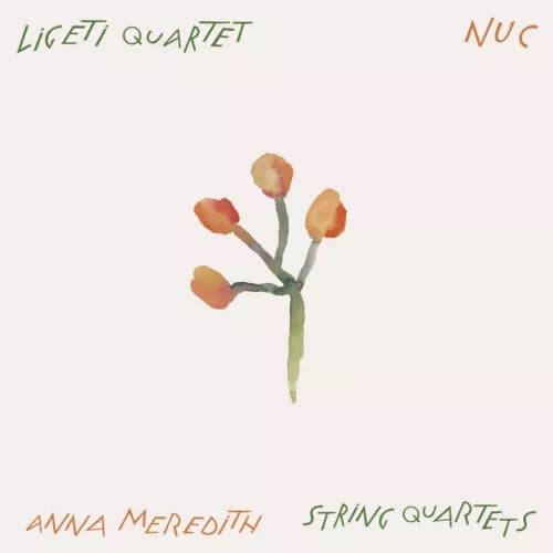 Anna Meredith Nuc: Anna Meredith: String Quartets (Vinyl) 12″ Album New