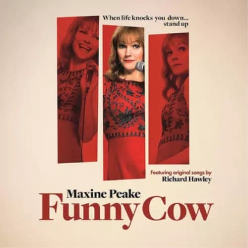 Richard Hawley Funny Cow (Vinyl) 12″ Album New