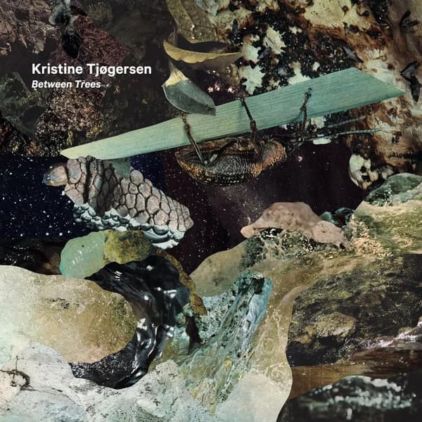 Kristine Tjogersen Kristine Tjogersen: Between Trees (Vinyl) 12″ Album New