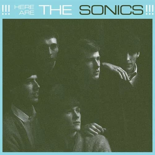 The Sonics Here Are the Sonics!!! (Vinyl) 12″ Album New