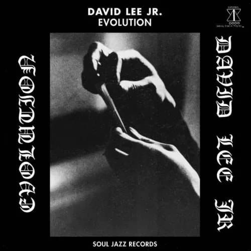 David Lee Jr. Evolution (Vinyl) 12″ Album Coloured Vinyl (Limited Edition) New