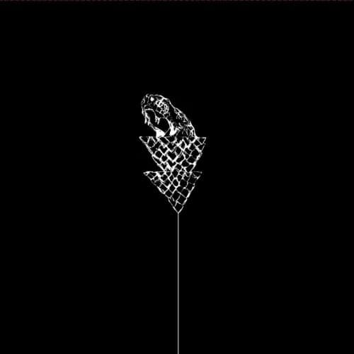 Wetware Flail (Vinyl) 12″ Album (Clear vinyl) New
