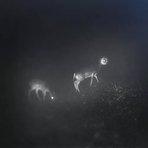 Bliss Signal Bliss Signal (Vinyl) 12″ Album New