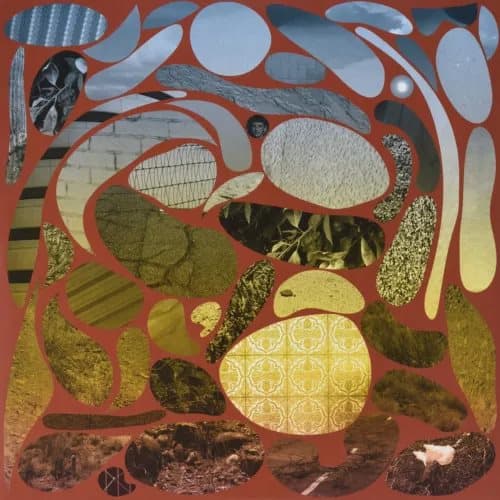 Pedro The Lion Phoenix explicit_lyrics (Vinyl) New