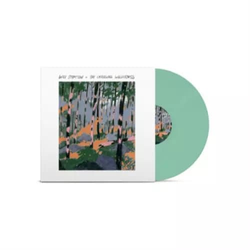 Will Stratton The Changing Wilderness (Vinyl) New