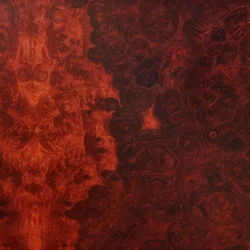 True Widow AVVOLGERE (Vinyl) New