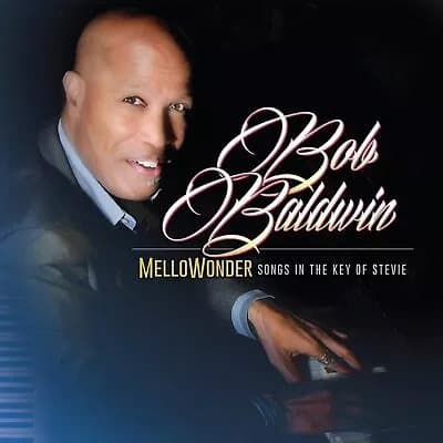 Bob Baldwin Mellowonder: Songs in the Key of Stevie (Vinyl) 12″ Album New