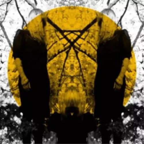 Austra Feel It Break (Vinyl) 12″ Album New