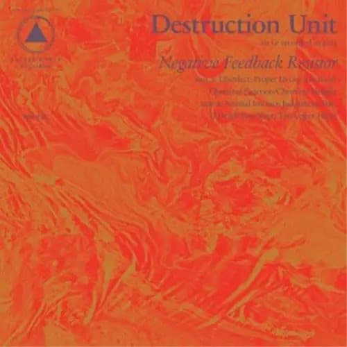 Destruction Unit Negative Feedback Resistor (Vinyl) 12″ Album New