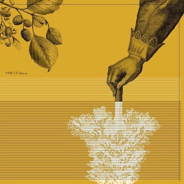 Tape Rideau (Vinyl) 12″ Album New