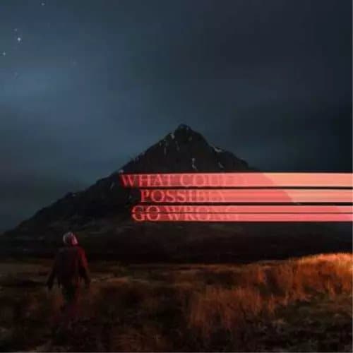 Dominic Fike What Could Possibly Go Wrong (Vinyl) 12″ Album New